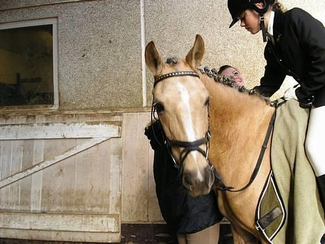 Anden særlig race Goldie - Wupti... er jeg ikke bare flink i dag? (stævne d. 16. apr.) billede 1