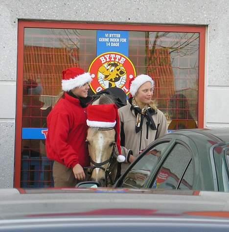 Anden særlig race Goldie - Fra jule-(træk)ridning ved toys´r´us..:) Goldie er bare SÅ børnevenlig:D  (December 2004) billede 4