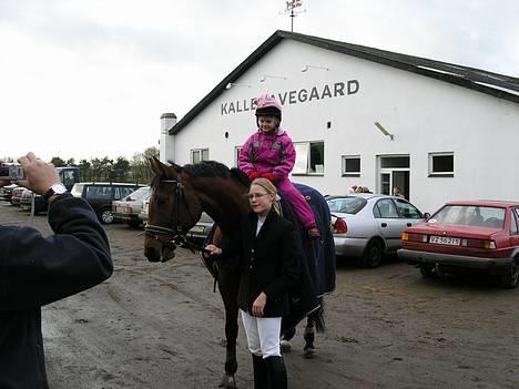 Dansk Varmblod Mølleåens Svetlana - Fra strævne på Kallehavegård. Min niece får en ridetur måske omkring 2004
 billede 5