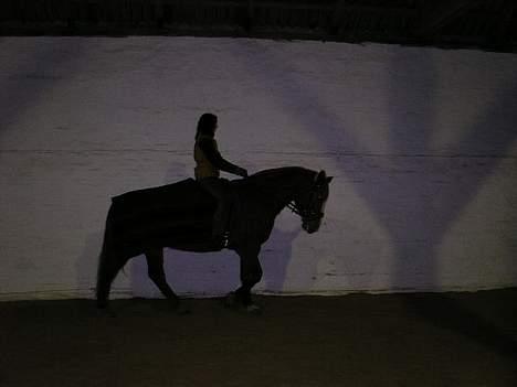 Frederiksborg Marco *Solgt til Norge* - mon vi gider lave noget idag?  billede 8