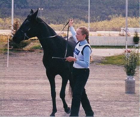 Arabisk fuldblod (OX) Hayabusa - Meg og Hayabusa på araber show i Harstad mai 2004.  billede 2