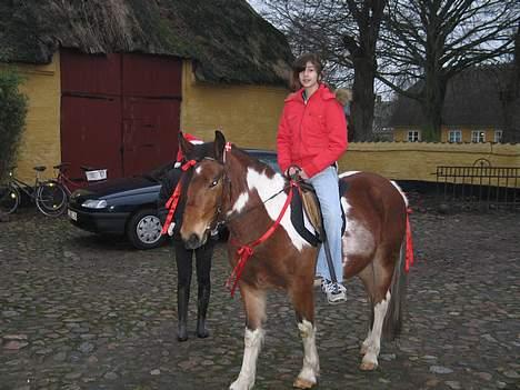 Pinto Pony Pocahontas - Mig på hende på min fødselsdag (den 11. dec) ! det skulle være en overralskelse , så jeg har ikk ridetøj på (: ! billede 4