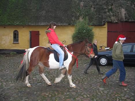 Pinto Pony Pocahontas - Af sted , der ride vi :P  billede 5