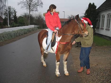 Pinto Pony Pocahontas - Uff "vrinsk , har du noget mad ? " billede 7