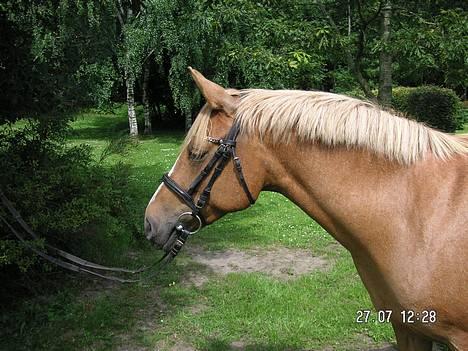 Anden særlig race Debbie  - ... hihi ..  billede 9