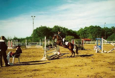 New Forest Holmens Anton  - Springstævne i JMR. (juni 2006) billede 8