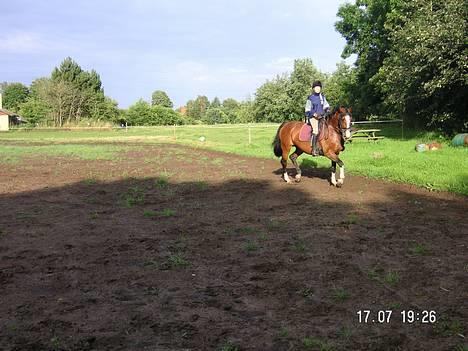 Dansk Varmblod Hanita - 19 Juli . Træning hjemme.  2005 ?  billede 8