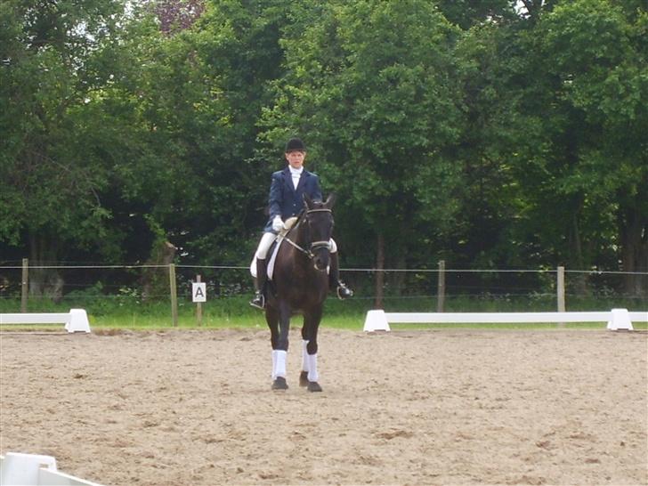 Pinto Monet billede 6