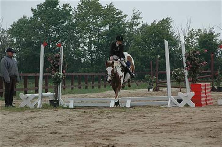 Pinto Caroline - vand på øgr :´) billede 5