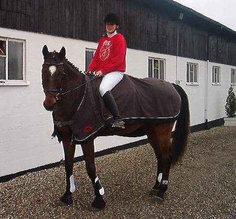 Hannoveraner Aktiv Igen (DØD) - her er vi til stævne billede 6