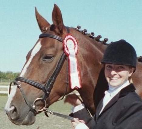 Dansk Varmblod Citrus. Solgt (2006) billede 5