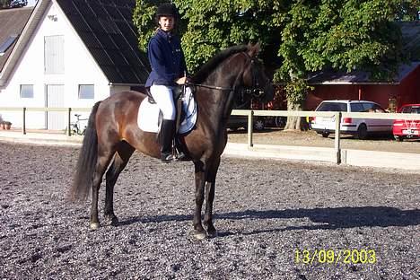 Anden særlig race Picasso - Picasso og mig til vores første stævne på Stejlbjerggaard Ridecenter billede 2