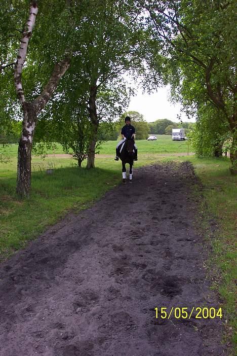 Anden særlig race Picasso - Picasso og mig til stævne i Brunmose :) billede 4