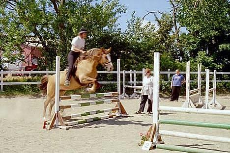 Anden særlig race Sunshine - stævne , LØSR . Foto : Min far tror jeg billede 3