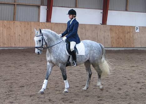 Anden særlig race Firhøjs Eminent - LB1 d.26.2.05 Brøndby Ny billede 1