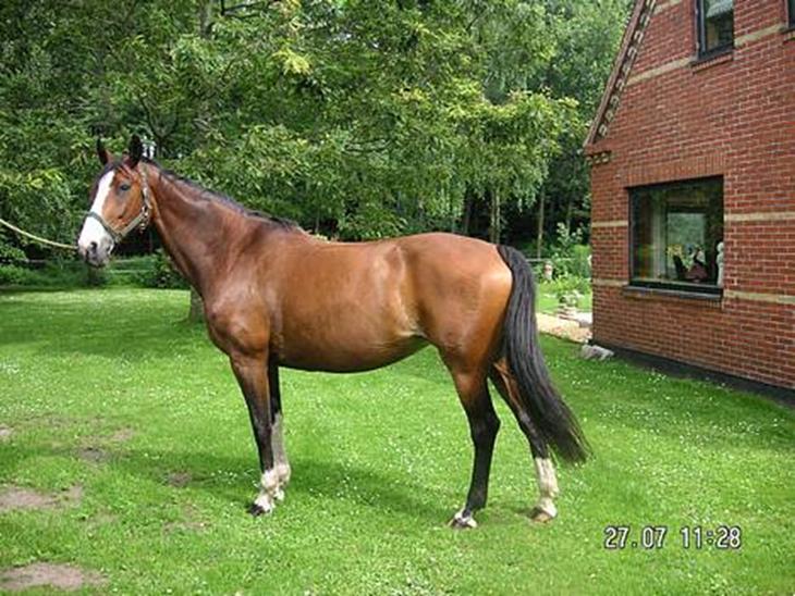 {{currentPhoto.altText}} billede {{currentPhoto.number}}