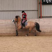 Anden særlig race sabine <3