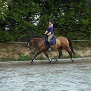 Holstener Dyval [12/3-03 -- 5/7-11]