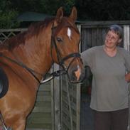 Frederiksborg Ariston Prinz S. Død 31/1