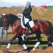 Oldenborg Gerner Kornum *Solgt*