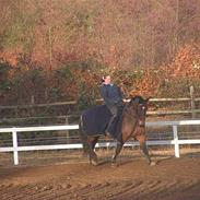 Oldenborg Gerner Kornum *Solgt*