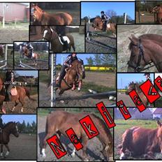 Anden særlig race Nakita (Solgt) 