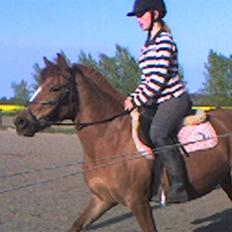 Anden særlig race Nakita (Solgt) 