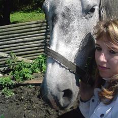 Holstener Zeênia - engang helpart