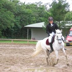 Anden særlig race Søvinds Silvermoon  SOLGT