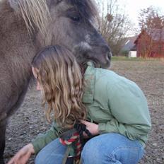 Shetlænder Christian