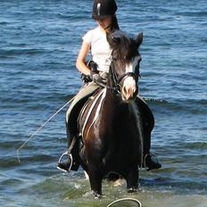 Tinker  Pretty Woman 