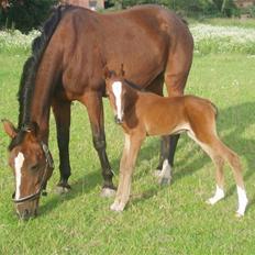 Anden særlig race Saam-a-li's surprise*DØD*