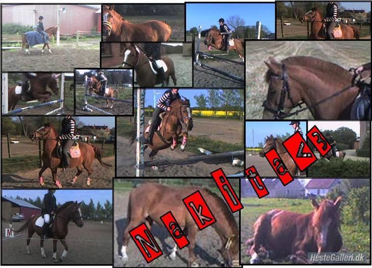 Anden særlig race Nakita (Solgt)  - VeLkOmMeN. Til den bedste pony i hele verden<33 billede 1