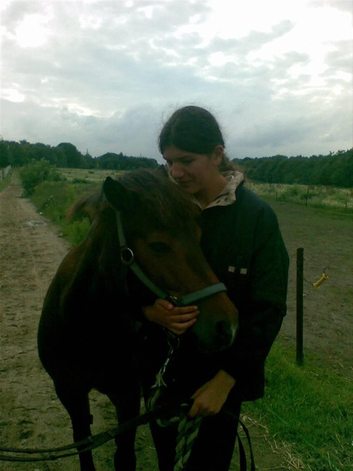 Anden særlig race Odin (gammel part) - Jeg elsker den pony <3 billede 17