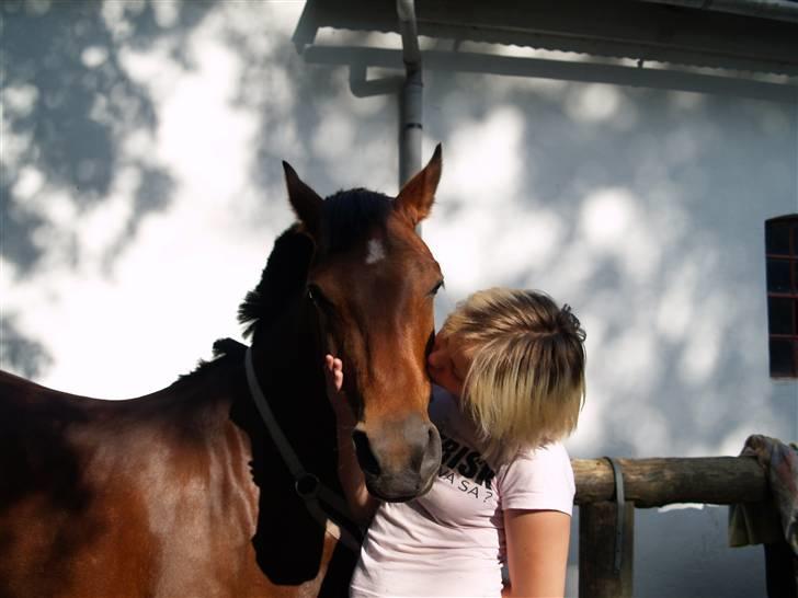 Hollandsk Sportspony BillaBong DK  - Elsker dig ALTID min dejligste skatte pony <3 du har en bestemt plads i mit hjerte <3 fotograf: Mette vilsøe billede 3