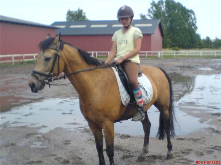 Anden særlig race Orchard Freedom - Solgt  - Ann-so elsker Free billede 7