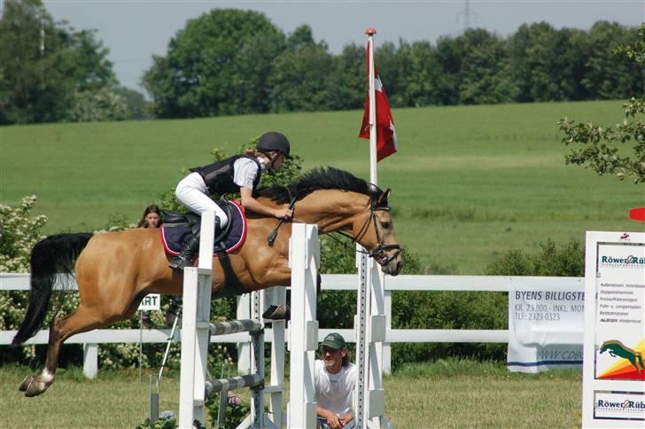 Anden særlig race Orchard Freedom - Solgt  billede 9