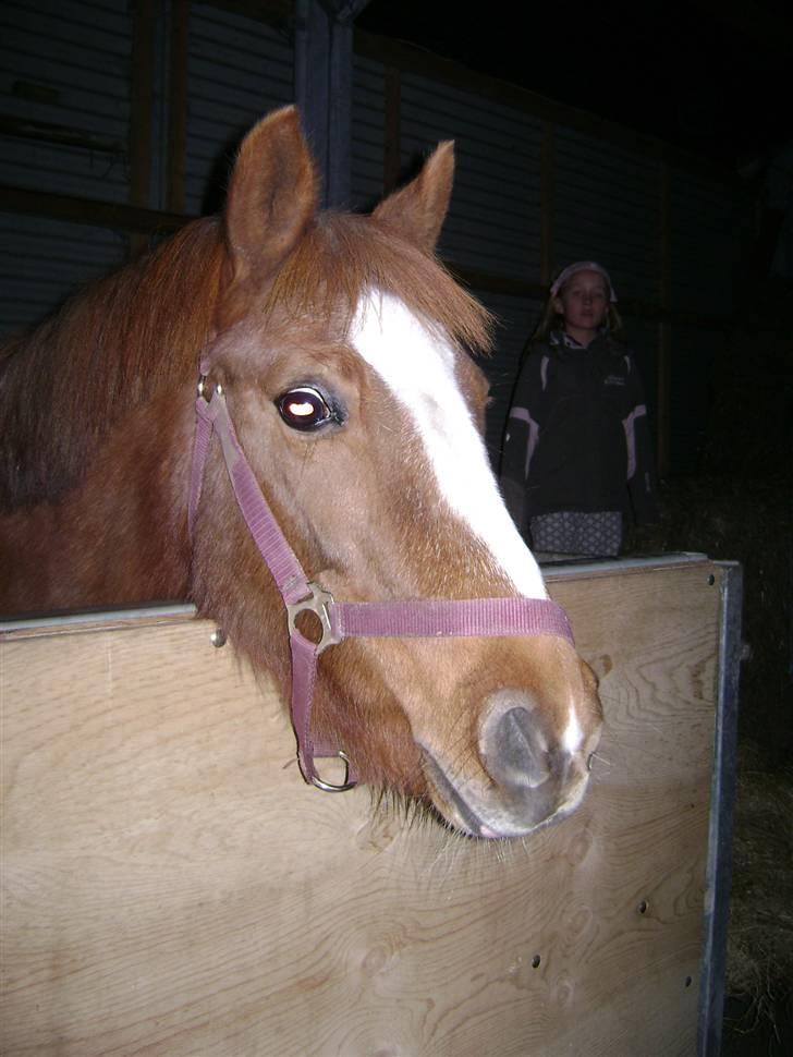 Anden særlig race Nakita (Solgt)  - Besøg hos "min" dejlige skat <3 billede 8