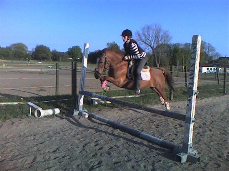 Anden særlig race Nakita (Solgt)  - nakita ZKAT<3<3<3 billede 9