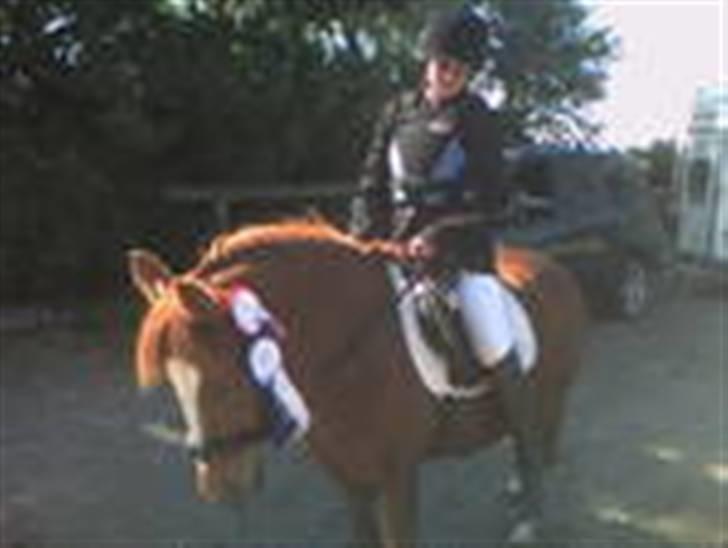 Anden særlig race Nakita (Solgt)  - se hvor smuk hun er!!! billede 13