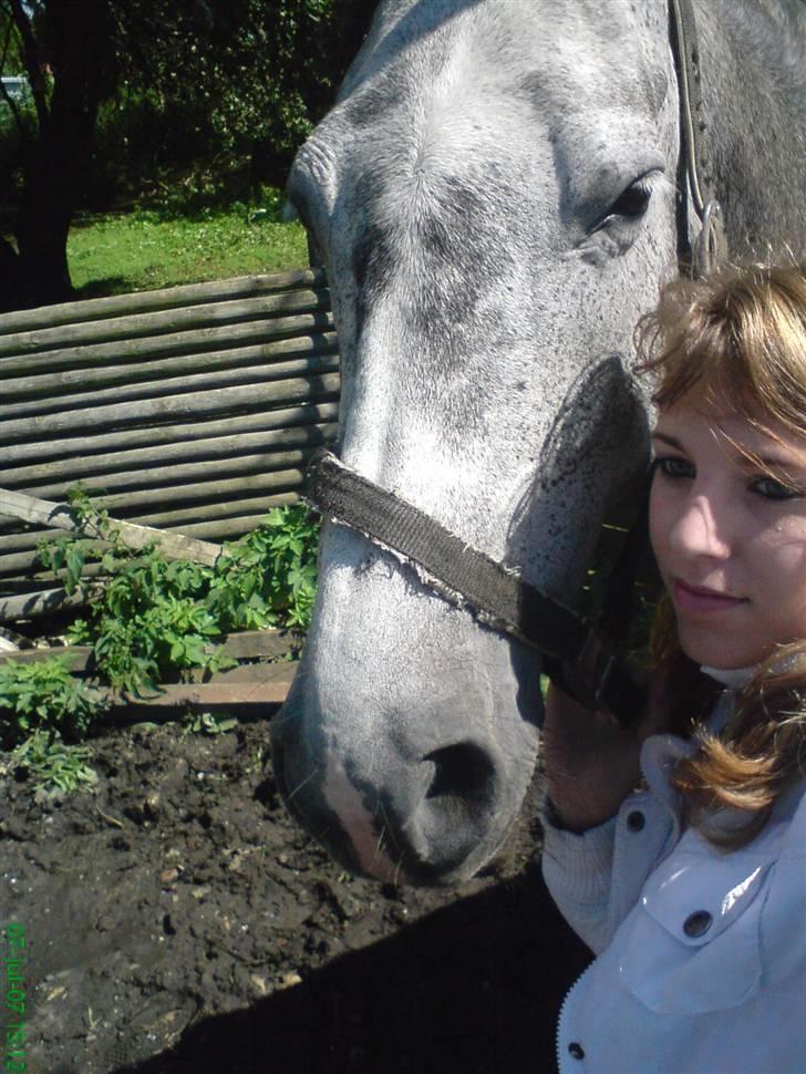 Holstener Zeênia - engang helpart billede 3