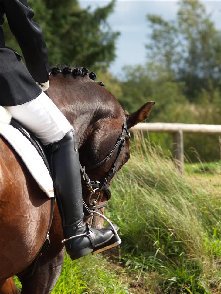 Dansk Varmblod Marlywunder - Stævne i skæve 2009, Foto: Mathias Jensen <3 Tak for kigget <3 billede 20