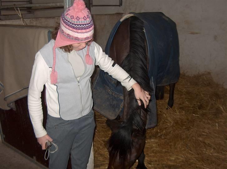 Anden særlig race º• Bastian <3 •º SOLGT billede 7
