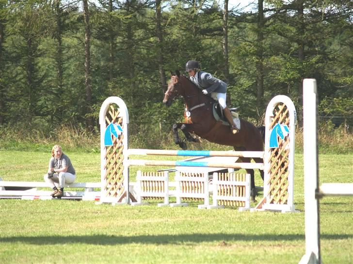 Anden særlig race º• Bastian <3 •º SOLGT - springstævne i dalby: LB. 17.08.08. billede 8
