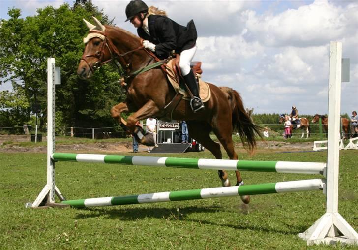 Tysk Sportspony Lex 35  - Mette og Lex i lc ansager den 22.05.07 billede 19