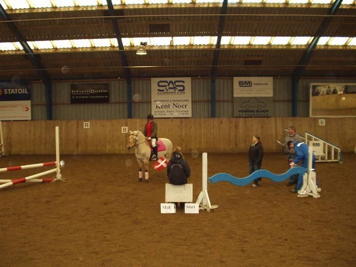 Fjordhest Perle *RIP <3* - perle i BSR marts 07 billede 20