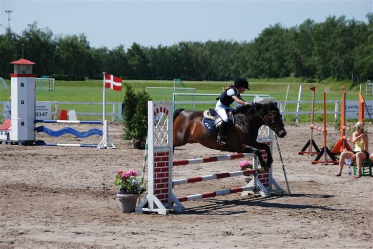 New Forest Palle (solgt) - LA og så rundt til næste spring! billede 9