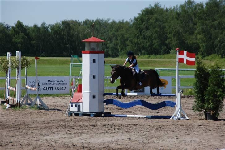 New Forest Palle (solgt) - LA :b billede 10