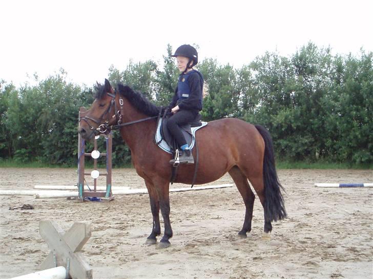 Anden særlig race Fairytale billede 17