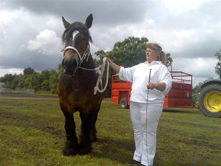 Jyde Mattias (Solgt) - Trækker 2, Landsskuet 07 billede 18
